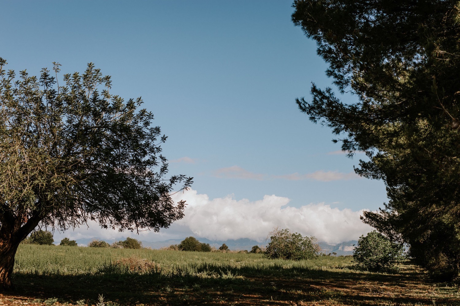 boda-mallorca-fotografia-video-concorazon-4